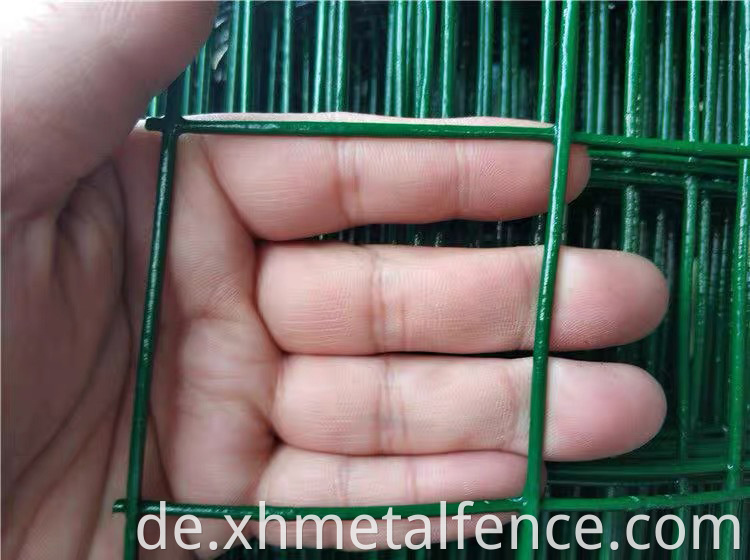 Holland Wire Mesh Fence